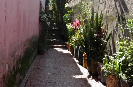 Imagem: Casa Térrea para Venda, Vila Maria Alta