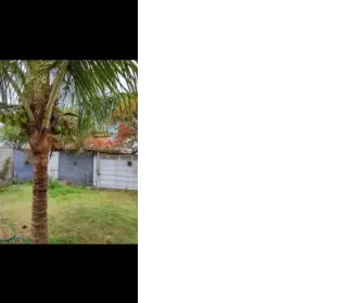 Imagem: Sobrado para Venda, Vila Santa Terezinha (ZN)