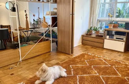 Imagem: Apartamento para Venda, Higienópolis