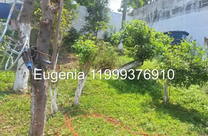 Imagem: Casa Térrea para Venda, Vila Indiana