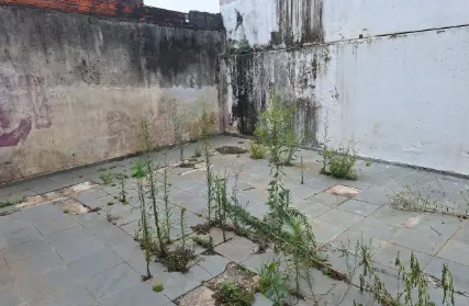 Imagem: Casa Comercial para Alugar, Vila Polopoli