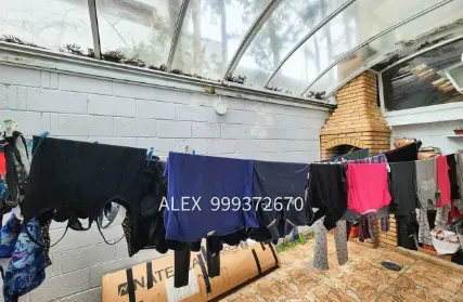 Imagem: Casa Térrea para Venda, Butantã