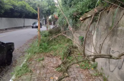 Imagem: Terreno para Venda, Rolinópolis
