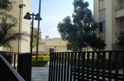 Imagem: Apartamento para Alugar, Jardim Cláudia