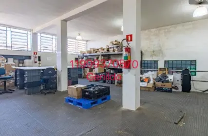 Imagem: Galpão / Salão para Alugar, Vila Ipojuca