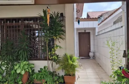 Imagem: Sobrado para Alugar, Jardim Pinheiros