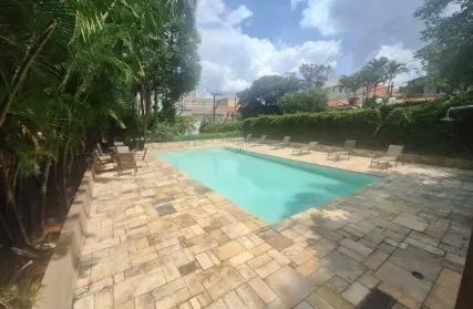 Imagem: Apartamento para Alugar, Jardim Olympia