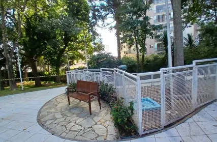 Imagem: Apartamento para Alugar, Jardim Esmeralda