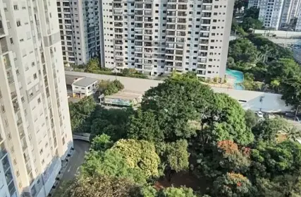 Imagem: Apartamento para Alugar, Continental