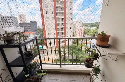 Imagem: Apartamento para Alugar, Vila Gomes