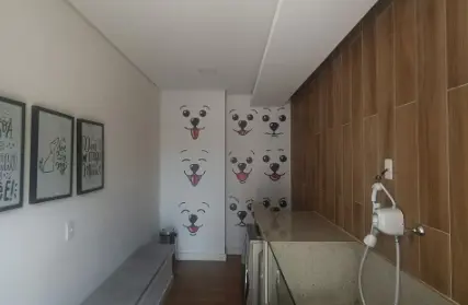 Imagem: Apartamento para Alugar, Jardim Peri Peri