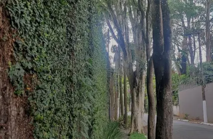 Imagem: Casa Térrea para Alugar, Vila Tramontano