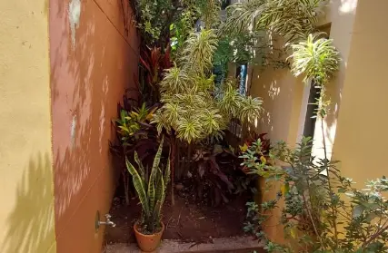 Imagem: Sobrado para Alugar, Vila Inah