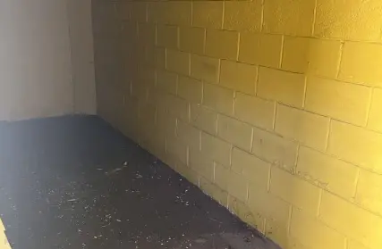 Imagem: Casa Térrea para Alugar, Conj. Res. Butantã