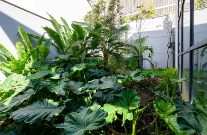 Imagem: Casa Comercial para Venda, Sumaré