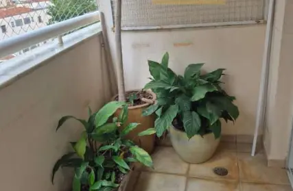 Imagem: Apartamento para Alugar, Perdizes