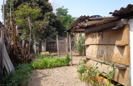 Imagem: Terreno para Venda, Chácara São João