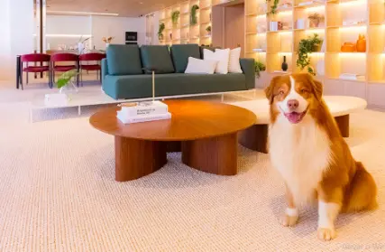 Imagem: Apartamento para Venda, Alto de Pinheiros