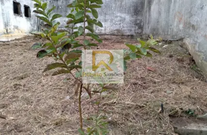 Imagem: Terreno para Venda, Jardim Russo