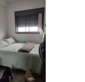 Imagem: Apartamento para Alugar, Bela Vista