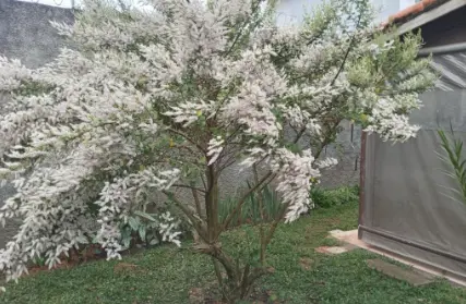 Imagem: Casa Térrea para Venda, Jardim Rosa Azul (Caucaia do Alto)