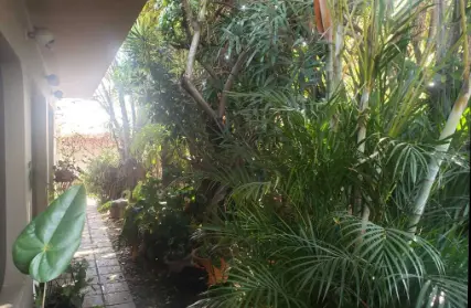 Imagem: Casa Térrea para Venda, Parque Continental