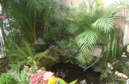 Imagem: Sobrado para Alugar, Vila Campesina