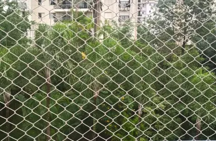 Imagem: Apartamento para Alugar, Cidade São Francisco