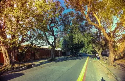 Imagem: Casa Térrea para Alugar, Lapa