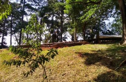 Imagem: Terreno para Venda, Chácara Jaraguá