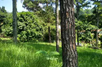 Imagem: Terreno para Venda, Chácara Jaraguá