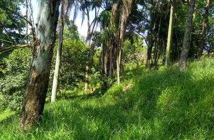 Imagem: Terreno para Venda, Chácara Jaraguá