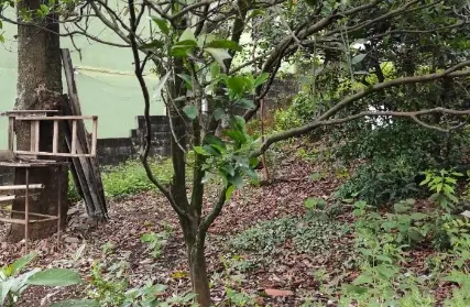 Imagem: Terreno para Venda, Vila Clarice