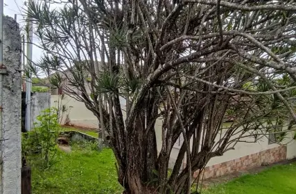 Imagem: Terreno para Venda, Vila Clarice