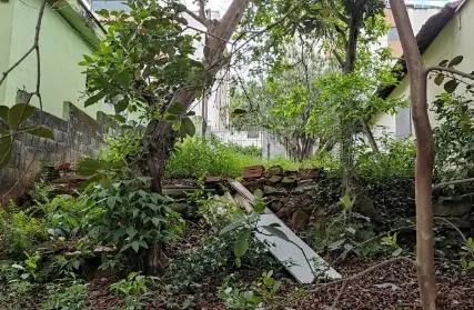 Imagem: Terreno para Venda, Vila Clarice