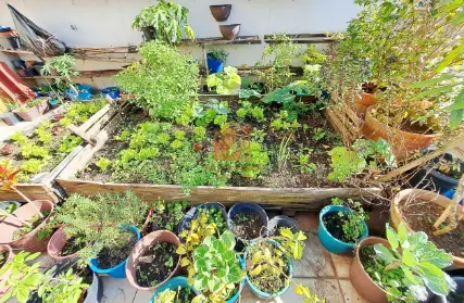 Imagem: Casa Térrea para Venda, Vila Guedes