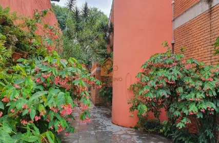 Imagem: Casa Térrea para Venda, City América