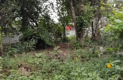Imagem: Terreno para Venda, Vila Clarice