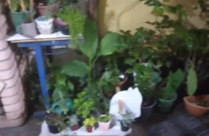 Imagem: Casa Térrea para Venda, Parque Maria Domitila