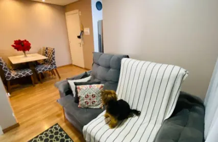 Imagem: Apartamento para Venda, Loteamento City Jaragua