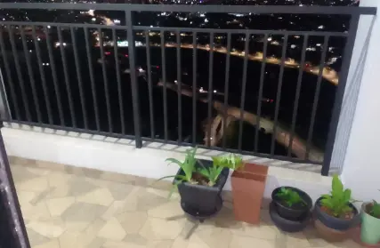 Imagem: Apartamento para Venda, São Pedro