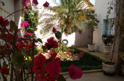 Imagem: Sobrado para Venda, Cidade São Francisco