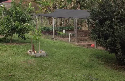 Imagem: Chácara / Sítio para Venda, Núcleo Residencial Isabela