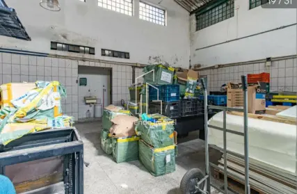 Imagem: Galpão / Salão para Alugar, Vila Ipojuca