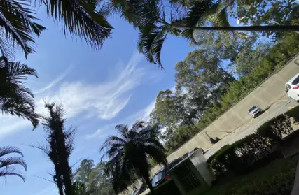 Imagem: Apartamento para Alugar, Pinheiros