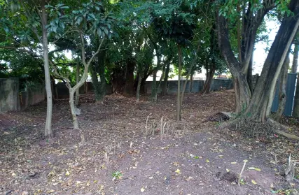 Imagem: Terreno para Venda, Pirituba