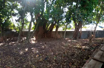 Imagem: Terreno para Venda, Pirituba