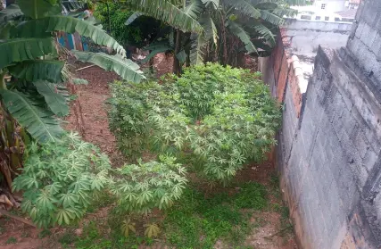 Imagem: Terreno para Venda, Pirituba