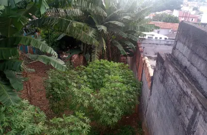 Imagem: Terreno para Venda, Pirituba