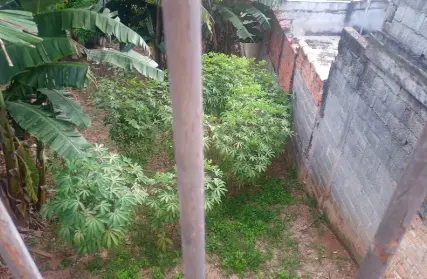 Imagem: Terreno para Venda, Pirituba